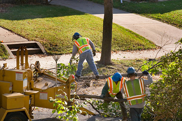 Professional Tree Removal and Landscaping Services in Marsing, ID